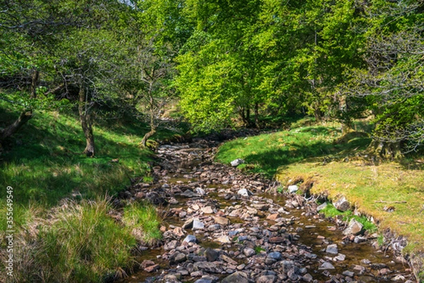 Fototapeta A summer three image HDR picture of Back Gill in Kingsdale near Ingleton, Yorkshire Dales National Park, England