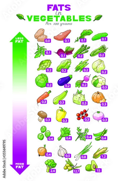 Obraz Vector illustration table of fats content in vegetables