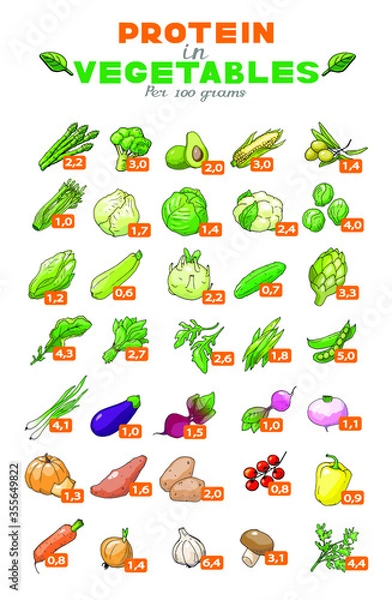 Obraz Vector illustration graph of protein content in vegetables
