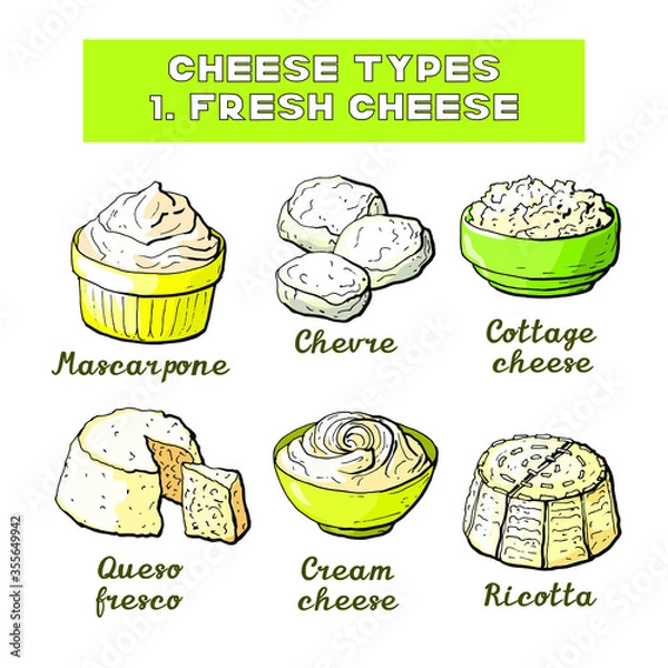 Obraz Vector illustration of cheese types and sorts