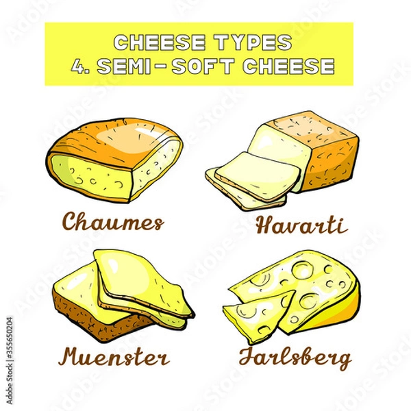 Obraz Vector illustration of cheese types and sorts