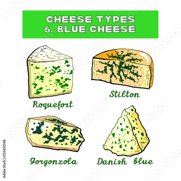 Obraz Vector illustration of cheese types and sorts