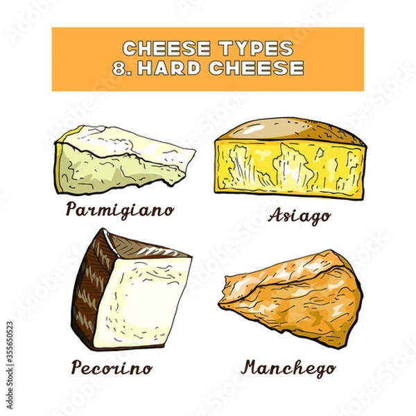 Obraz Vector illustration of cheese types and sorts