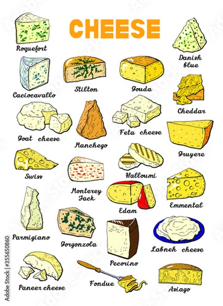 Obraz Vector illustration of cheese types and sorts