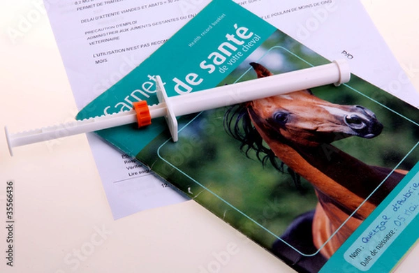 Obraz cheval, carnet de santé