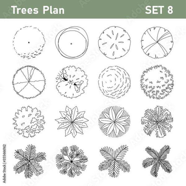 Fototapeta Tree top, tree plan - free hand drawn doodle top view trees for landscape  plan. Can change the stroke line