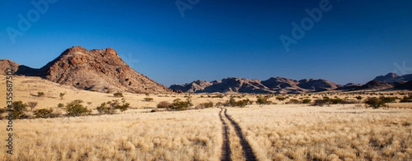 Obraz African landscape panorama