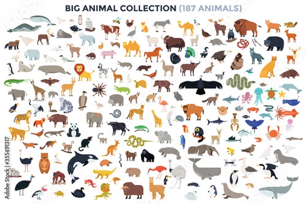 Fototapeta Nowoczesny szablon infografiki