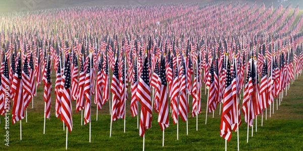 Fototapeta Flags in the Healing Fields for 9/11