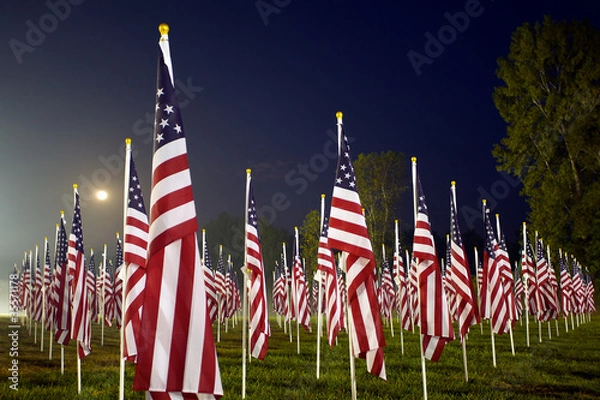 Fototapeta Flags in the Healing Fields for 9/11