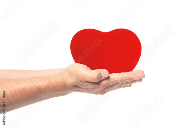 Fototapeta red heart in hands isolated on white background