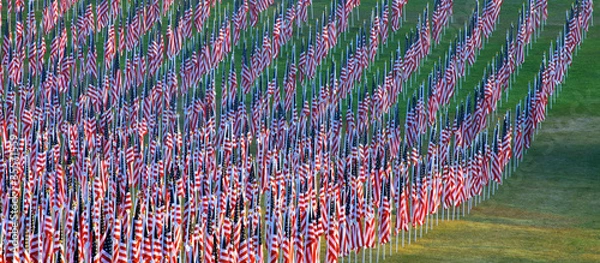 Fototapeta Flags in the Healing Fields for 9/11