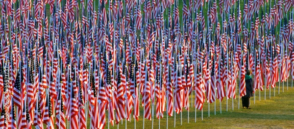 Fototapeta Flags in the Healing Fields for 9/11