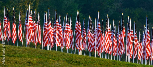 Fototapeta Flags in the Healing Fields for 9/11