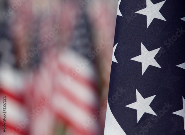 Fototapeta Flags in the Healing Fields for 9/11