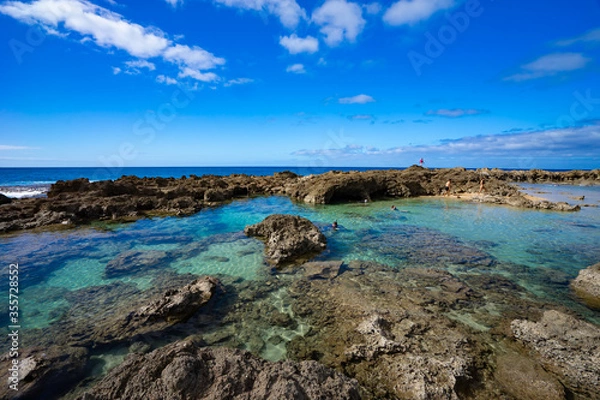 Fototapeta シャークスコーブ