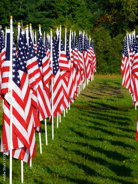 Fototapeta Flags in the Healing Fields for 9/11