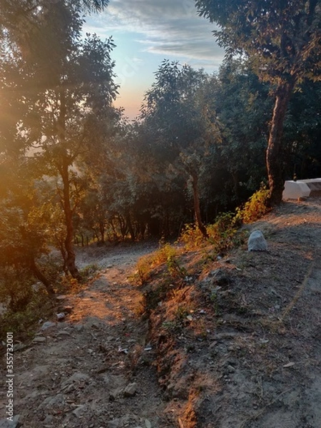 Obraz autumn in the woods