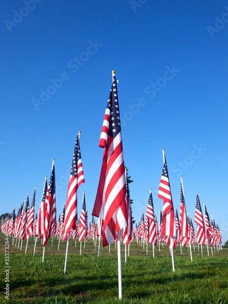 Obraz Flags in the Healing Fields for 9/11