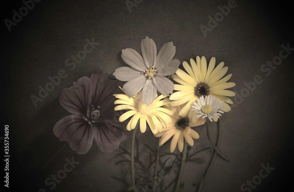 Fototapeta Condolence card with flowers