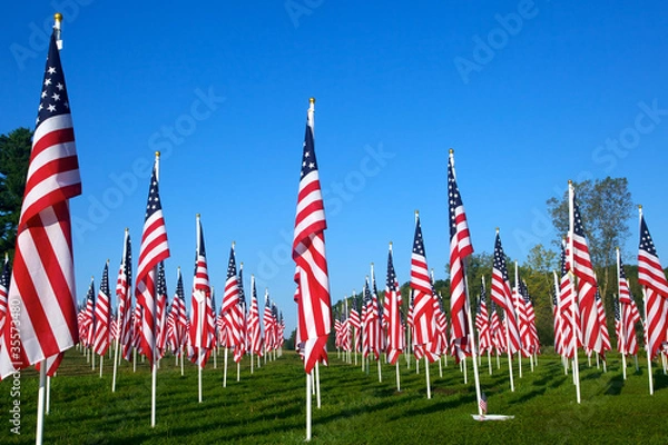 Fototapeta Flags in the Healing Fields for 9/11