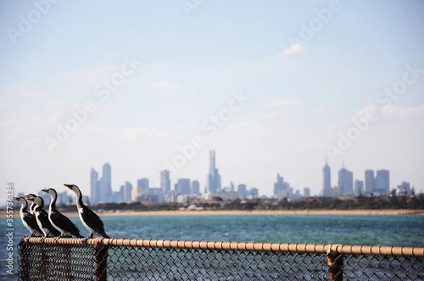 Fototapeta Row of birds perching on fence by sea against sky