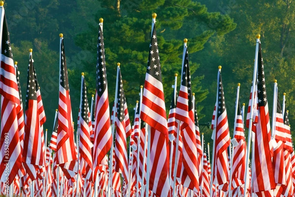 Fototapeta Flags in the Healing Fields for 9/11