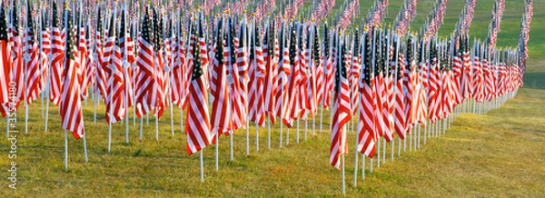 Fototapeta Flags in the Healing Fields for 9/11