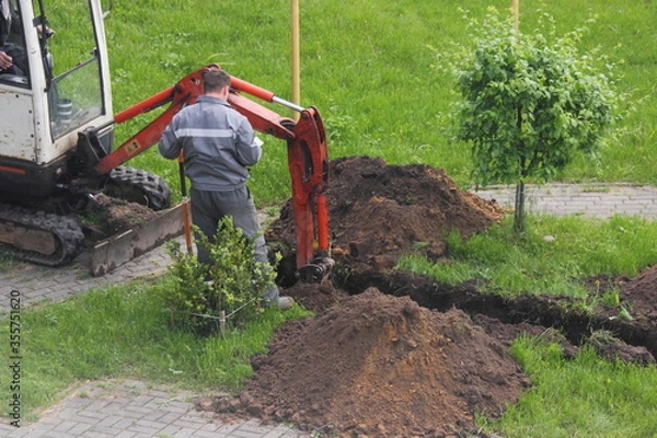 Fototapeta A worker in gray overalls stands next to a working compact rubber tracked excavator, which carefully digs a ditch in the Park with a bucket between bushes and paving stones on summer day, landscaping