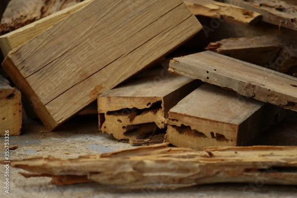 Obraz maderos viejos
