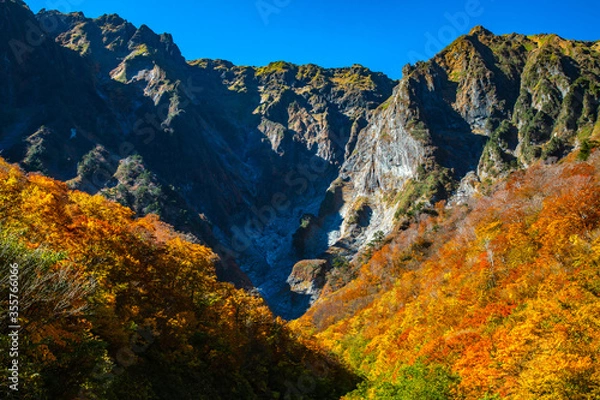 Obraz 谷川岳一ノ倉沢の紅葉と快晴の青空