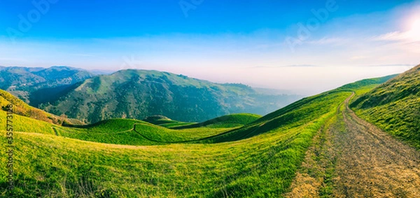 Obraz Panoramic view of picturesque green hills, meadows and hiking trails in sunlight. Mountain landscape of California, Alum Rock Park, USA.