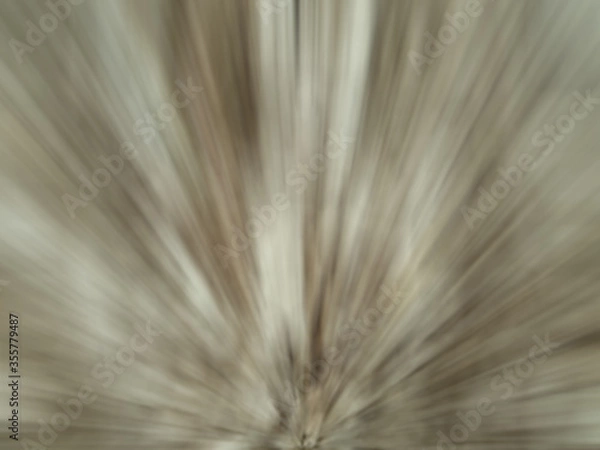 Obraz Blurred background image zoom From bottom to top