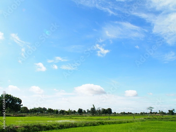 Obraz green field and blue sky