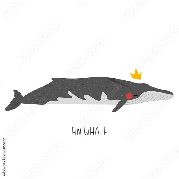 Obraz cute whale illustration isolated on white background for children designs. Vector whale illustration