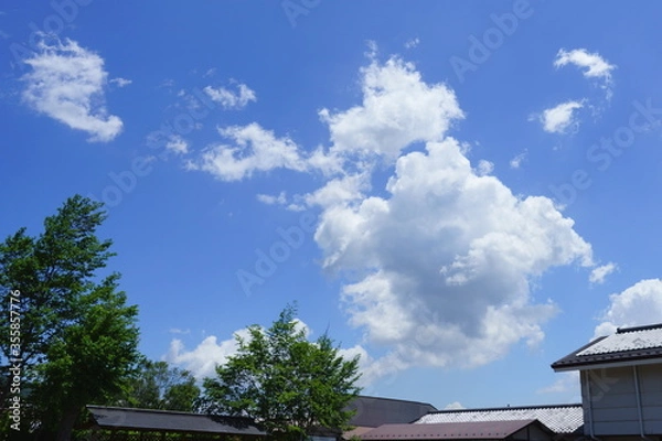 Fototapeta モクモクした白い雲が浮かぶ初夏の青空