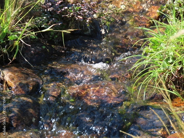 Obraz 川のせせらぎ
