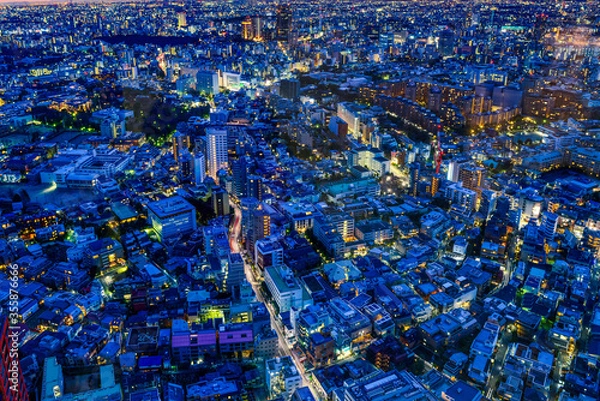 Fototapeta Night life view of densely populated Tokyo Metropolis 