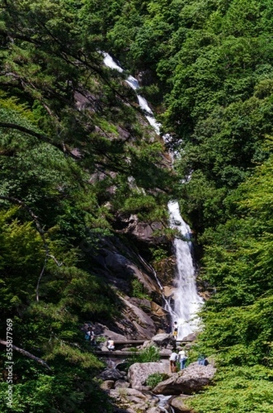 Fototapeta 見返りの滝