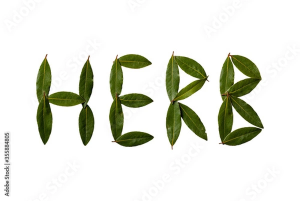 Fototapeta The inscription "herb" collected from the leaves of laurel. Sweet bay (laurel, Laurus nobilis, Grecian laurel) fresh green leaves isolated on white. 