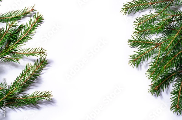 Fototapeta Spruce branches isolated on white background. Christmas template for your design.