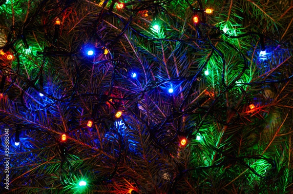 Fototapeta Christmas background with spruce branches and colorful garlands. Garlands glow among the fir branches.