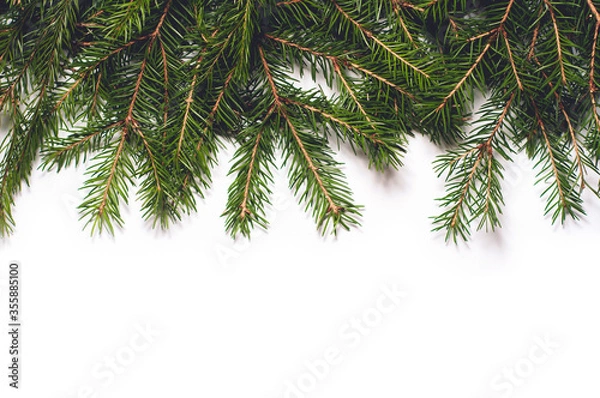 Fototapeta Spruce branches isolated on white background. Christmas template for your design.