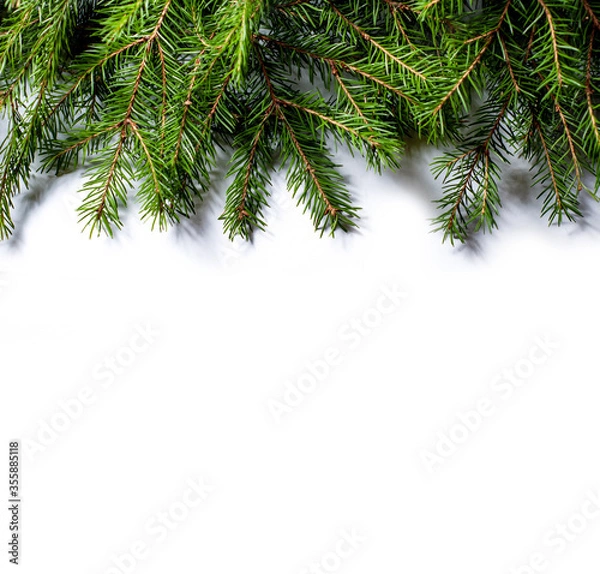 Fototapeta Fir branches isolated on white background. Design template for New Year and Christmas.