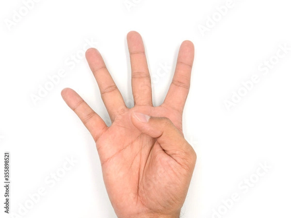 Obraz A hand showing four fingers isolated on white background with clipping path included.