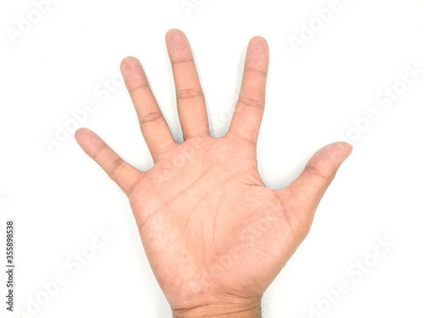 Obraz A hand showing five fingers isolated on white background with clipping path included.