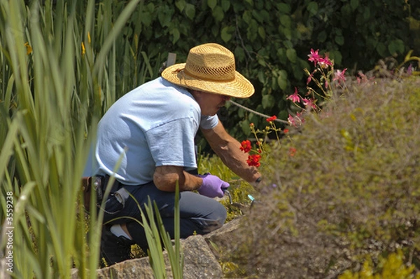 Obraz The Gardener Gardening in the Garden Pond