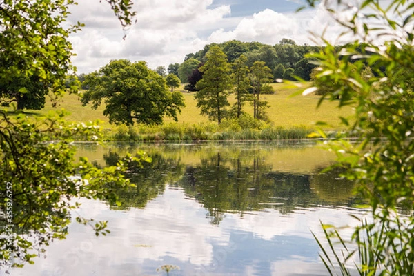 Fototapeta The lake at Fonthill Estate in Wiltshire, South West England.  The photo is framed with foliage on both sides and shows nature reflected in the water.