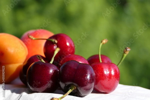 Fototapeta Close-up of fresh, healthy and ripe fruit: Cherries and apricots in the background in daylight