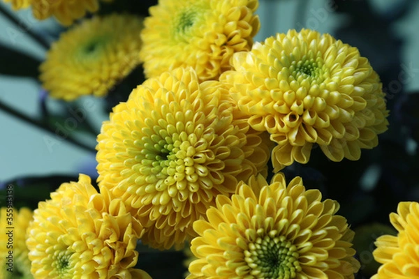 Obraz Bouquet of small yellow chrysanthemums